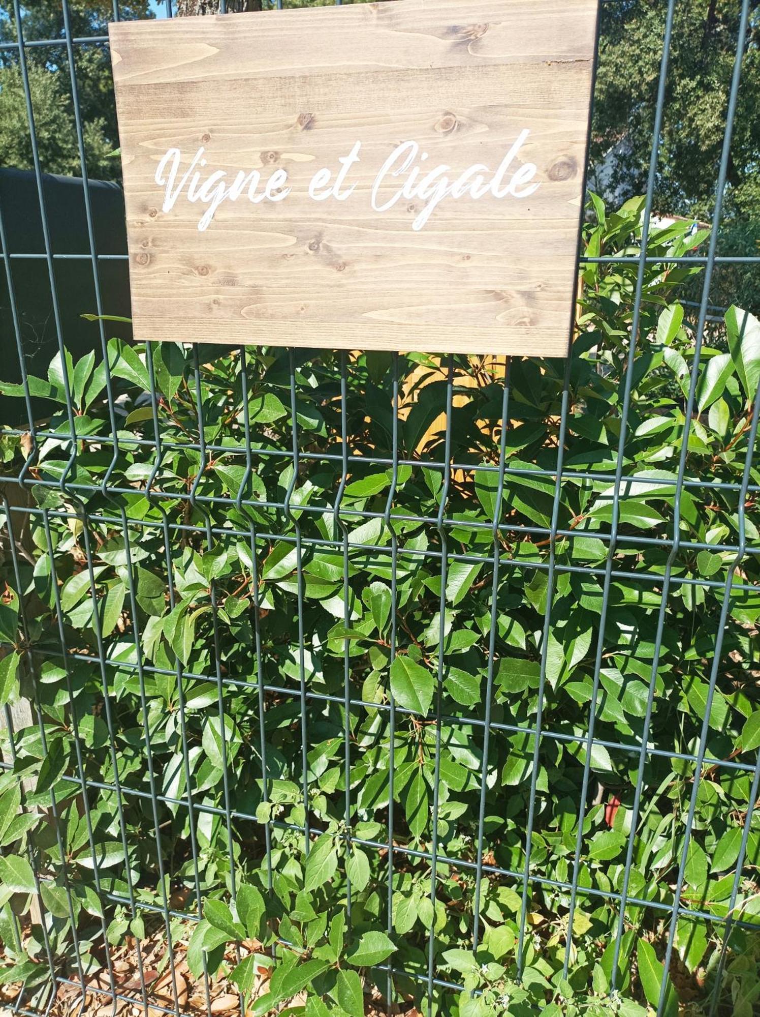 Vigne Et Cigale Leilighet Le Thoronet Eksteriør bilde